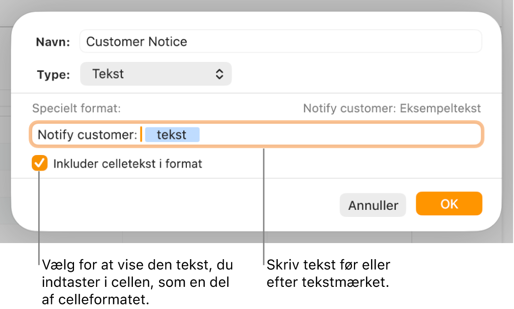 Vinduet til specielle celleformater med betjeningsmuligheder til valg af speciel formatering af tekst.