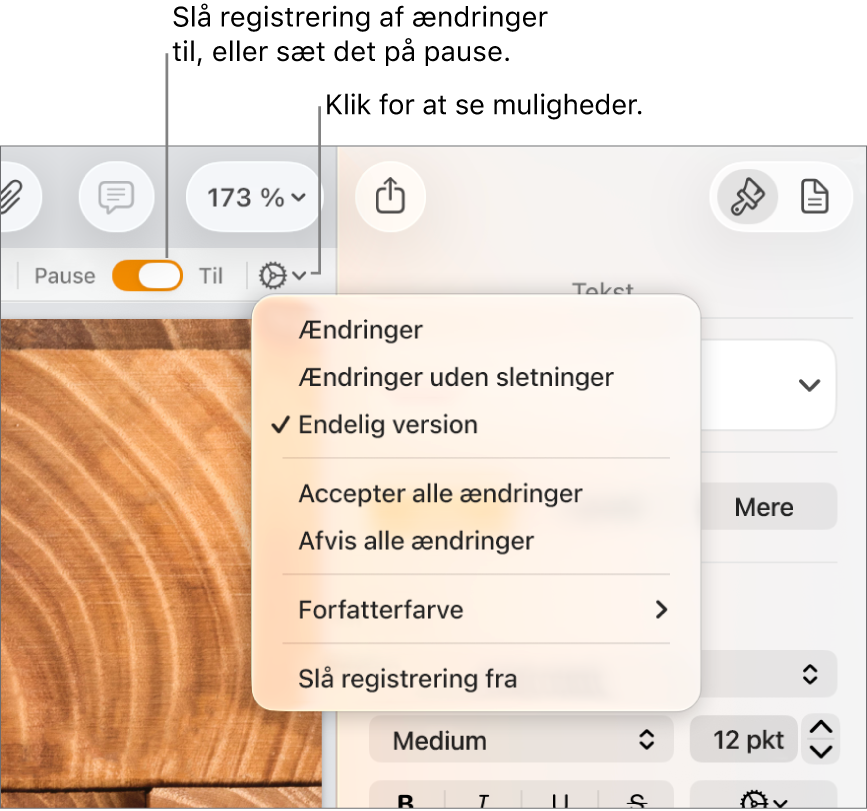 Registreringsmenuen med Slå registrering fra nederst og billedforklaringer til Registrer ændringer slået til og knappen Pause.