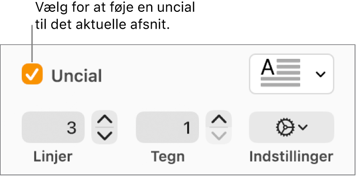 Afkrydsningsfeltet Uncial er valgt, og til højre for det vises en lokalmenu. Under det vises betjeningsmuligheder til indstilling af linjehøjde, antal tegn og andre indstillinger.