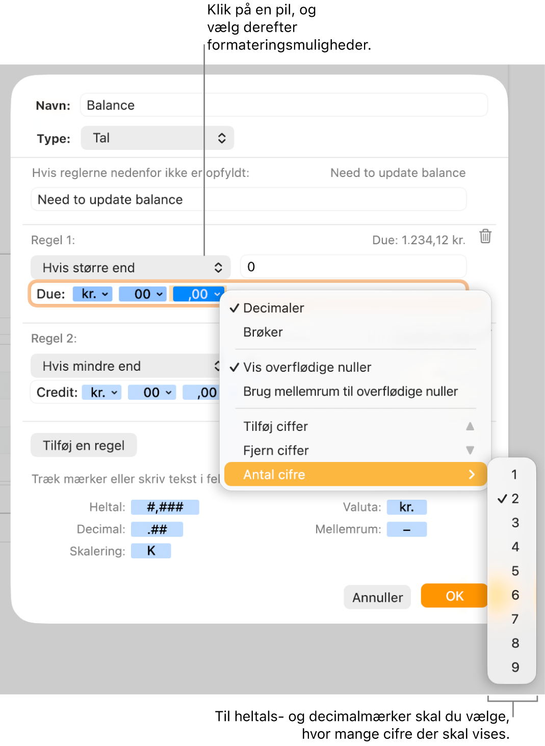 Vinduet til specielle celleformater med betjeningsmuligheder til valg af specielle formateringsmuligheder.