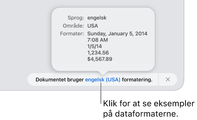 Notifikationen om de forskellige indstillinger af sprog og område, der viser eksempler på den formatering, som hører til sproget og området.