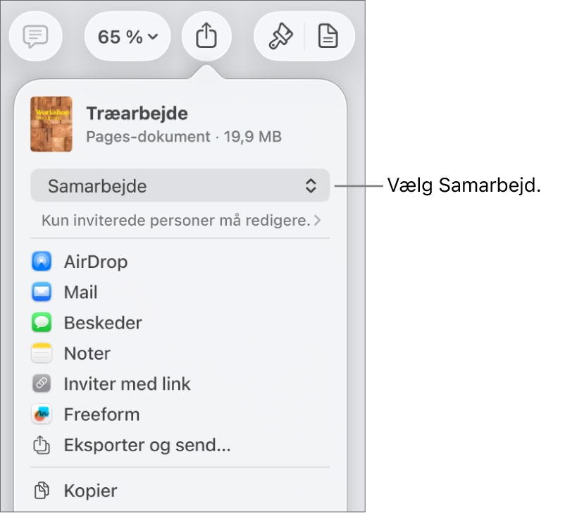 Menuen Del med Samarbejde valgt øverst og adgangs- samt tilladelsesindstillinger nedenunder.