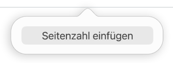 Die Taste „Seitenzahl einfügen“ unter der Kopfzeile