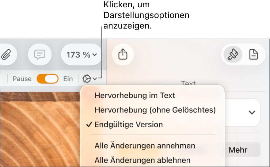 Das Menü mit den Prüfoptionen: Hervorhebung im Text, Hervorhebung (ohne Gelöschtes) und Endgültige Version