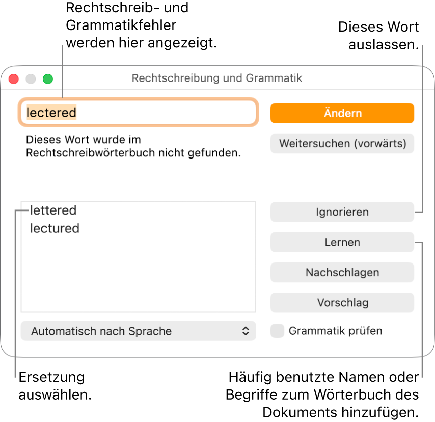 Das Fenster „Rechtschreibung und Grammatik“