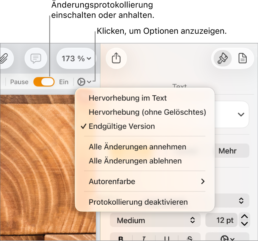 Das Menü mit dem Protokollierungsoptionen und der Option zum Deaktivieren der Protokollierung unten und einer Beschreibung der Tasten zum Aktivieren oder Anhalten der Protokollierung