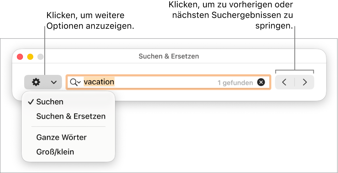 Das Fenster „Suchen & Ersetzen“ mit dem Einblendmenü, in dem Optionen zum Suchen, Suchen und Ersetzen, Suchen ganzer Wörter und Suchen unter Berücksichtigung der Groß-/Kleinschreibung zu sehen sind. Mit den Pfeilen auf der rechten Seite kann zu den vorherigen bzw. nächsten Suchergebnissen gesprungen werden.