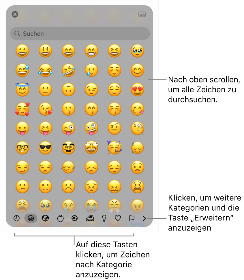 Die Zeichenübersicht zeigt Emojis, Tasten für die unterschiedlichen Symbolkategorien am unteren Fensterrand, eine Taste, mit der mehr Kategorien angezeigt werden können, und die Taste „Erweitern“.