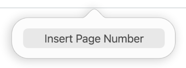 The Insert Page Number button below the header.