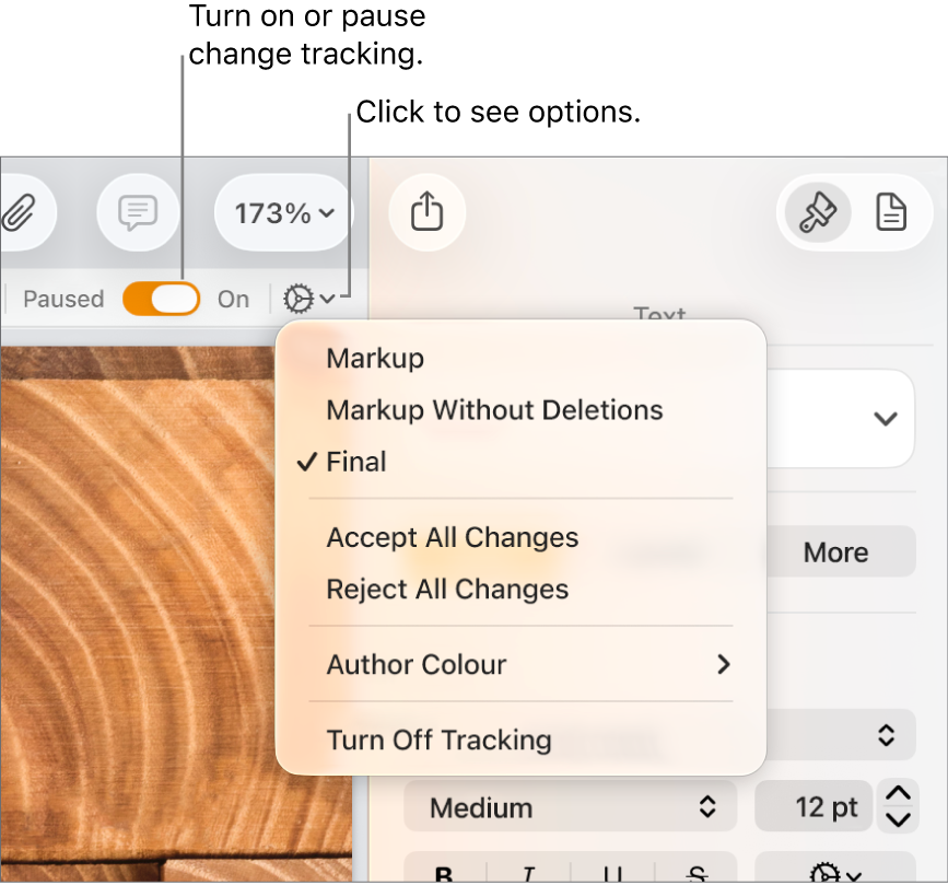 The tracking options menu showing Turn off Tracking at the bottom and a call out to the Tracking On and Paused button.