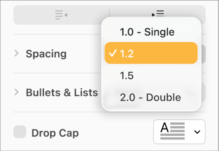 The Spacing pop-up menu with Single, Double and other options.
