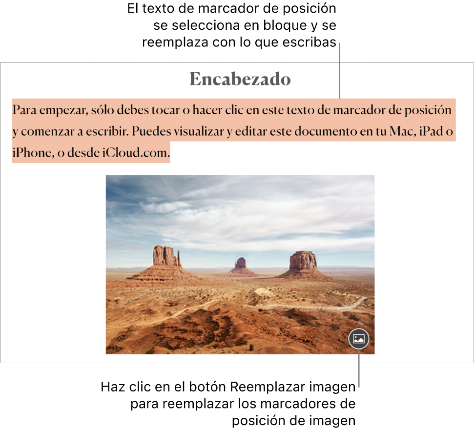 Texto e imágenes de marcador de posición.