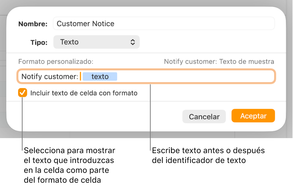 La ventana de formato de celda personalizado con controles para seleccionar formatos de texto personalizados.