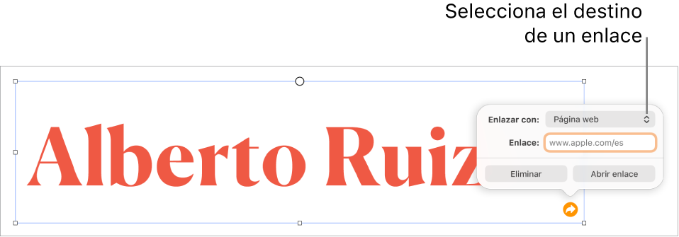 Controles del editor de enlaces con la opción “Página web” seleccionada y los botones Eliminar y “Abrir enlace” en la parte inferior.