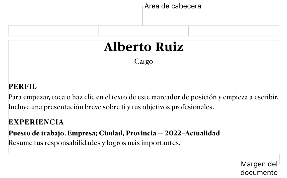La vista de disposición mostrando el área de cabecera y los márgenes del documento.