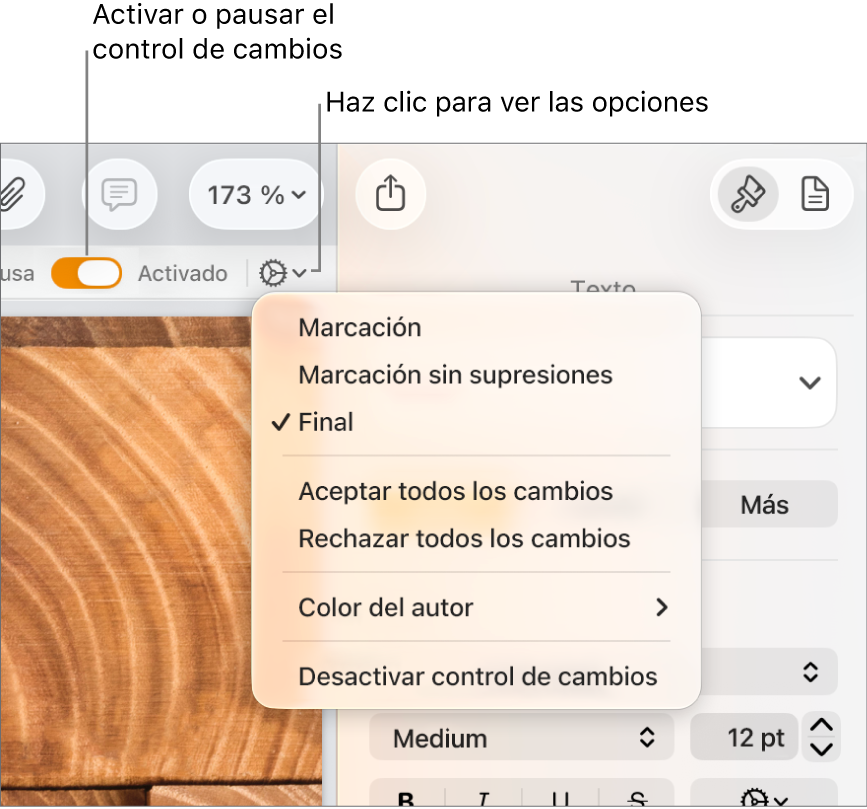 El menú de opciones de control de cambios con “Desactivar control de cambios” en la parte inferior y llamadas a “Control de cambios: Activado” y al botón “En pausa”.
