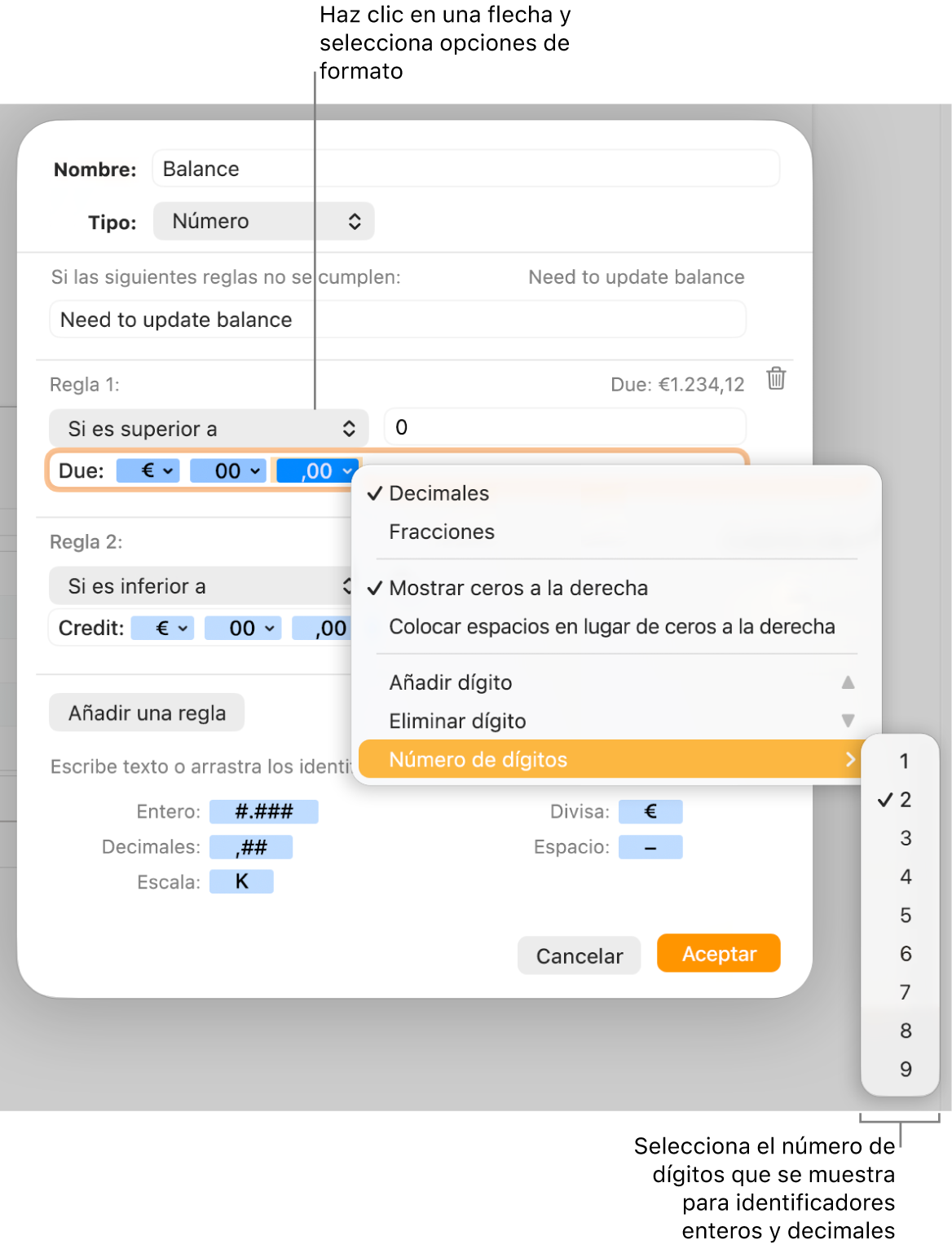 La ventana de formato de celda personalizado con controles para seleccionar opciones de formato personalizadas.