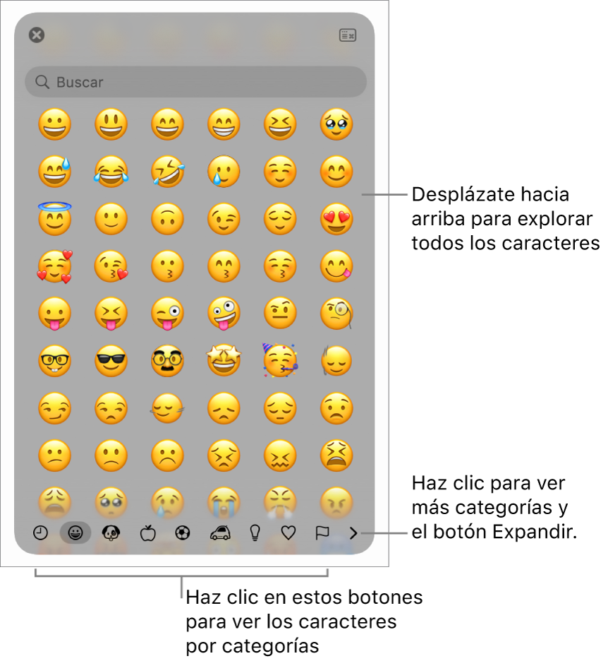 La ventana del visor de caracteres con emojis, botones para diferentes categorías de símbolos en la parte inferior y un botón para mostrar mas categorías y el botón Ampliar.
