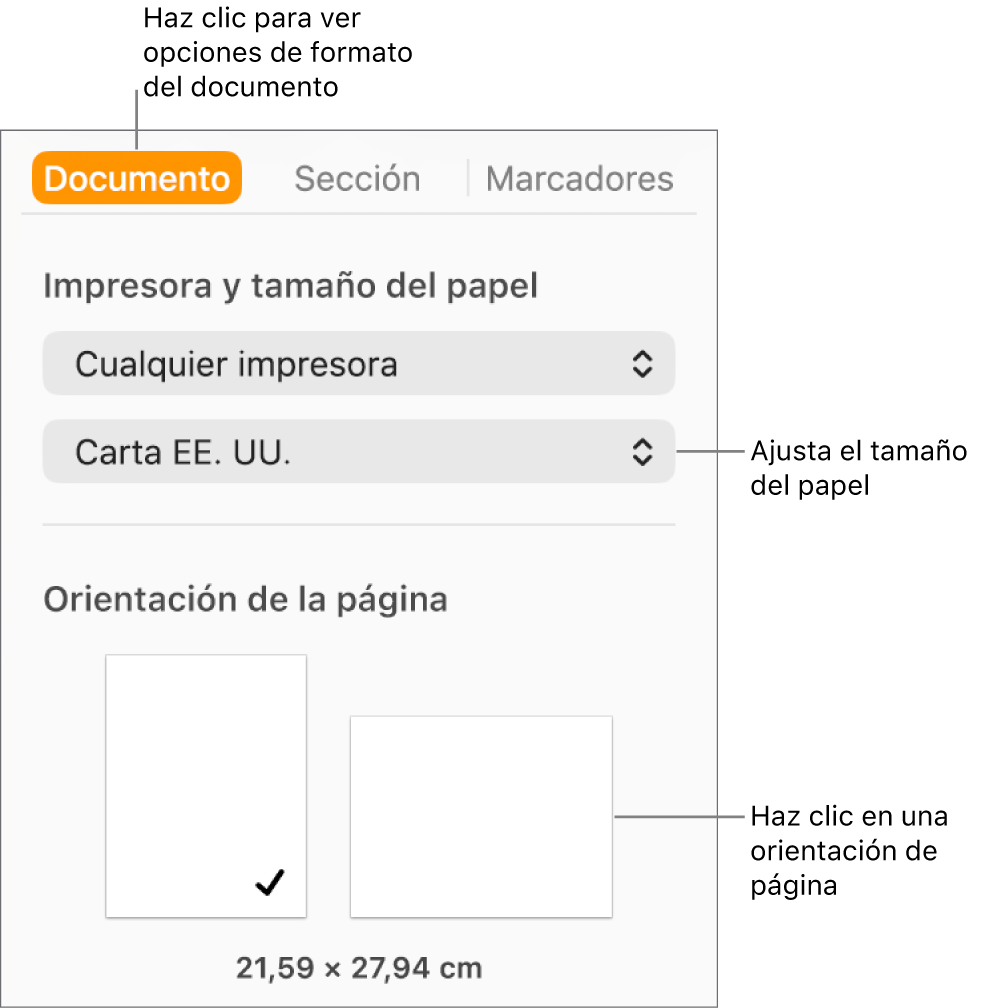 La barra lateral Documento con la pestaña Documento de la parte superior seleccionada. En la barra lateral hay un menú desplegable para ajustar el tamaño del papel y botones para la orientación vertical u horizontal.