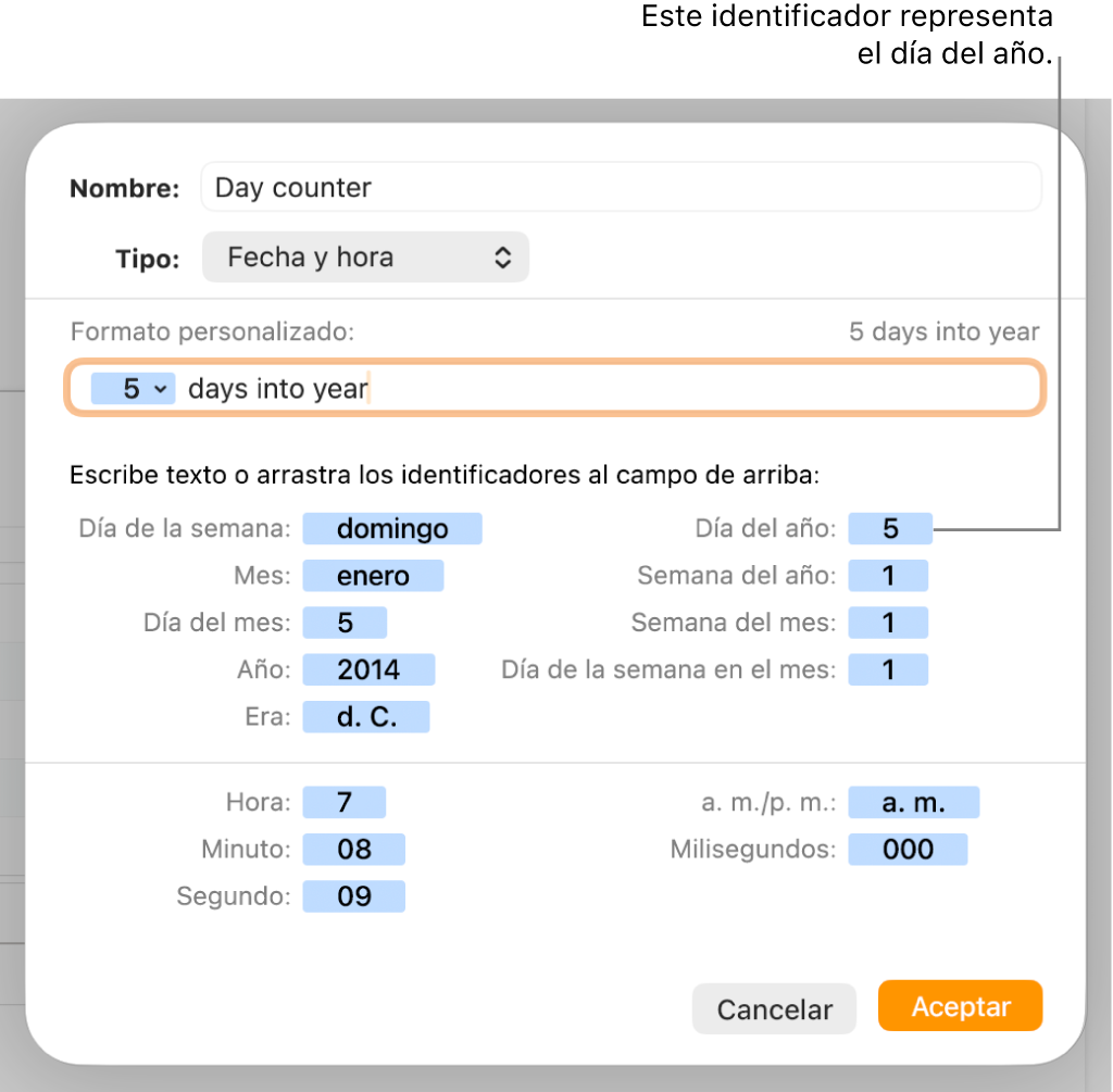 La ventana de formato de celda personalizado con controles para seleccionar formatos de fecha y hora personalizados.