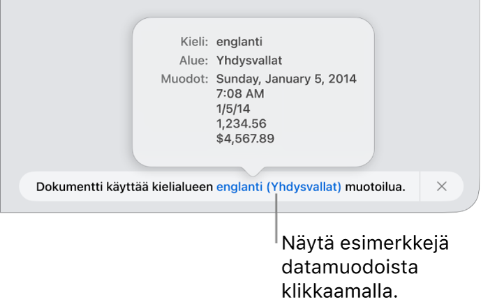 Eri kieli- ja alueasetuksen ilmoitus, jossa on esimerkkejä kyseisen kielen ja alueen muotoilusta.