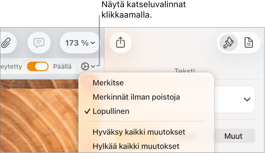Tarkistusvalintojen valikko, jossa näkyy Merkinnät, Merkinnät ilman poistoja ja Lopullinen.