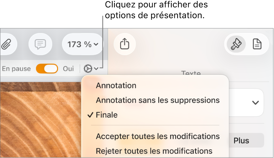 Le menu des options de révision, avec les options Marquage, Marquage sans afficher les suppr. et Version finale.