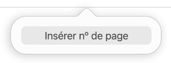 Le bouton Insérer no de page sous l’en-tête.