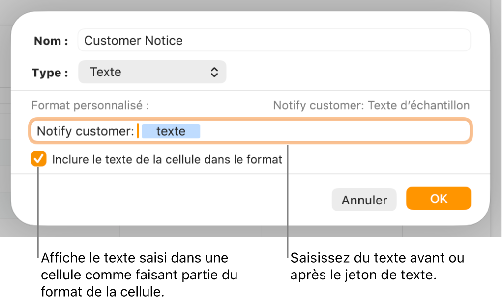 Fenêtre de format de cellule personnalisé présentant les commandes permettant de choisir un format de texte personnalisé.