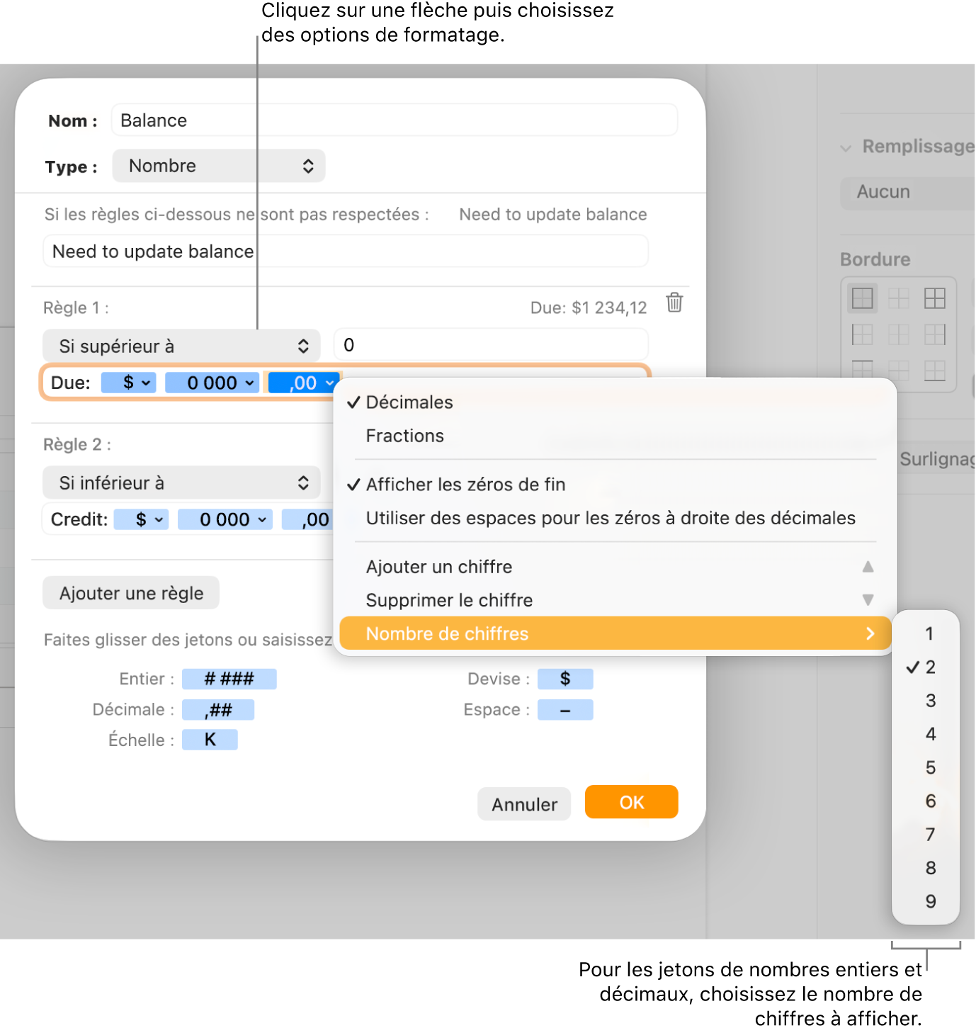 La fenêtre de format de cellule personnalisé présentant les commandes permettant de choisir des options de mise en forme personnalisée.