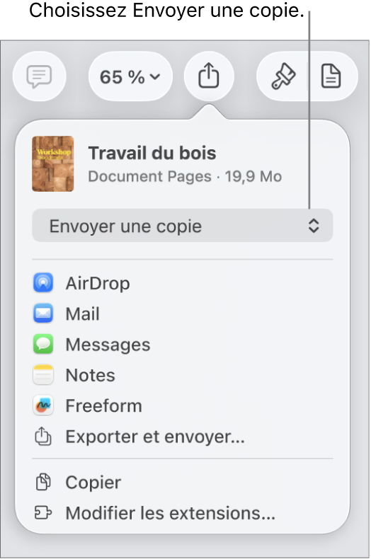 Le menu Partager avec l’option Envoyer une copie sélectionnée dans le haut.
