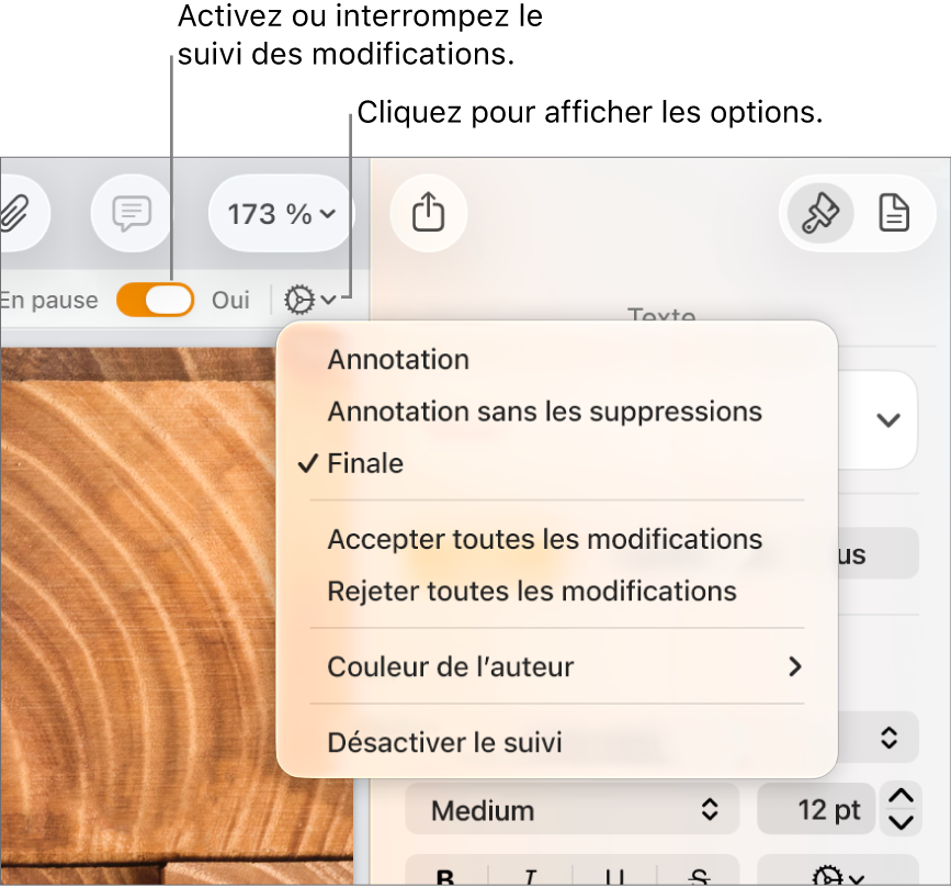 Le menu des options de suivi, avec l’option Désactiver le suivi en bas, ainsi que des légendes traitant des boutons de suivi Activé et En pause.