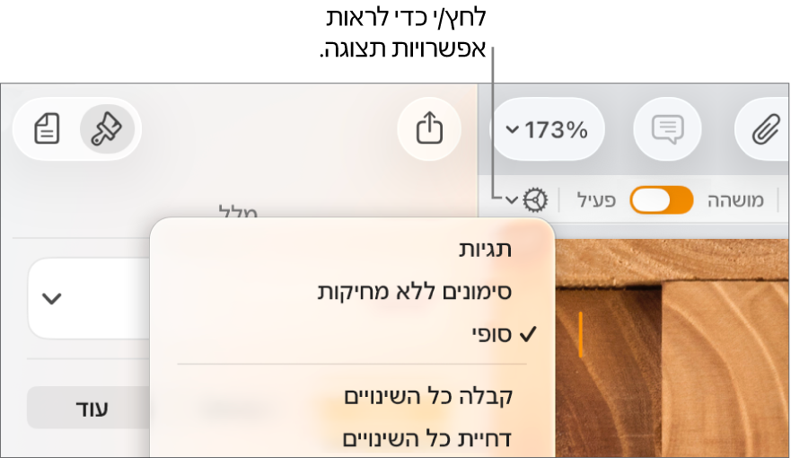 תפריט אפשרויות הסקירה מציג את הפקודות ״תגיות״, ״סימונים ללא מחיקות״ ו״סופי״.