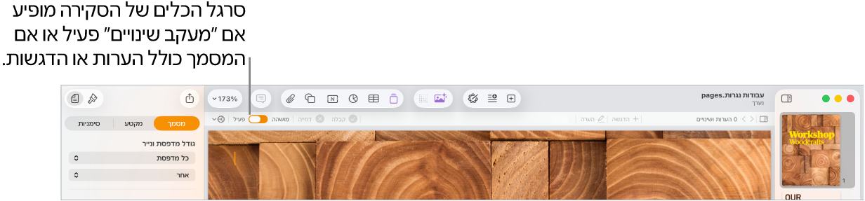 סרגל הכלים של Pages עם מעקב אחר שינויים מופעל וסרגל הכלים של סקירה מתחת לסרגל הכלים של Pages.