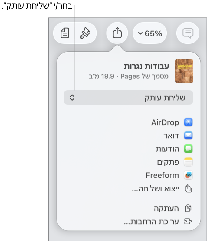 תפריט השיתוף כאשר האפשרות ״שלח/י עותק״ נבחרת בחלק העליון.