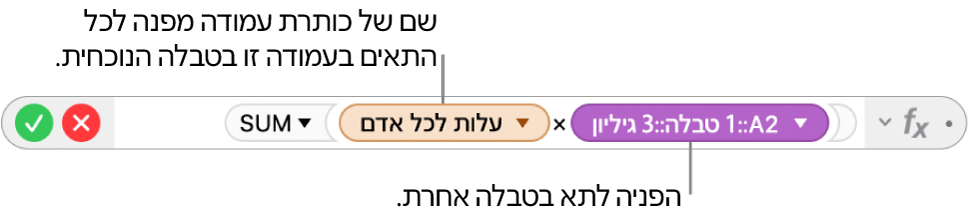עורך הנוסחאות מציג נוסחה המפנה לעמודה בטבלה אחת ולתא בטבלה אחרת.