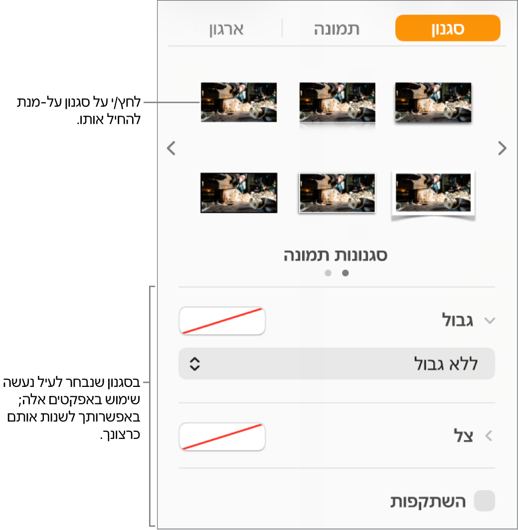 הכרטיסיה ״סגנון״ בסרגל הצד ״עיצוב״ מציגה אפשרויות עבור סגנונות אובייקטים.