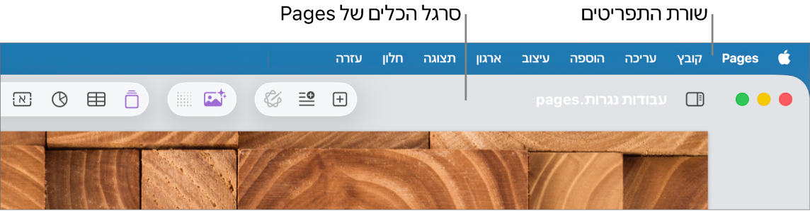 שורת התפריטים בראש המסך עם התפריטים Apple, Pages, ״קובץ״, ״עריכה״, ״הוספה״, ״עיצוב״, ״ארגון״, ״תצוגה״, ״שיתוף״, ״חלון״ ו״עזרה״. מתחת לשורת התפריטים יש מסמך Pages פתוח עם כפתורי סרגלי כלים לאורך החלק העליון עבור ״תצוגה״, ״הגדלה/הקטנה״, ״הוסף עמוד״, ״הכנס״, ״טבלה״, ״תרשים״, ״מלל״, ״צורה״, ״מדיה״ ו״הערה״.