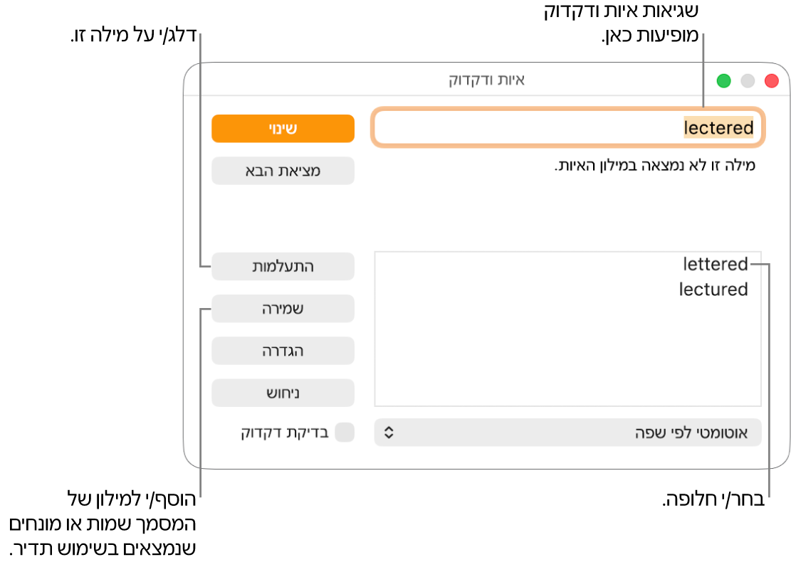 החלון ״איות ודקדוק״.