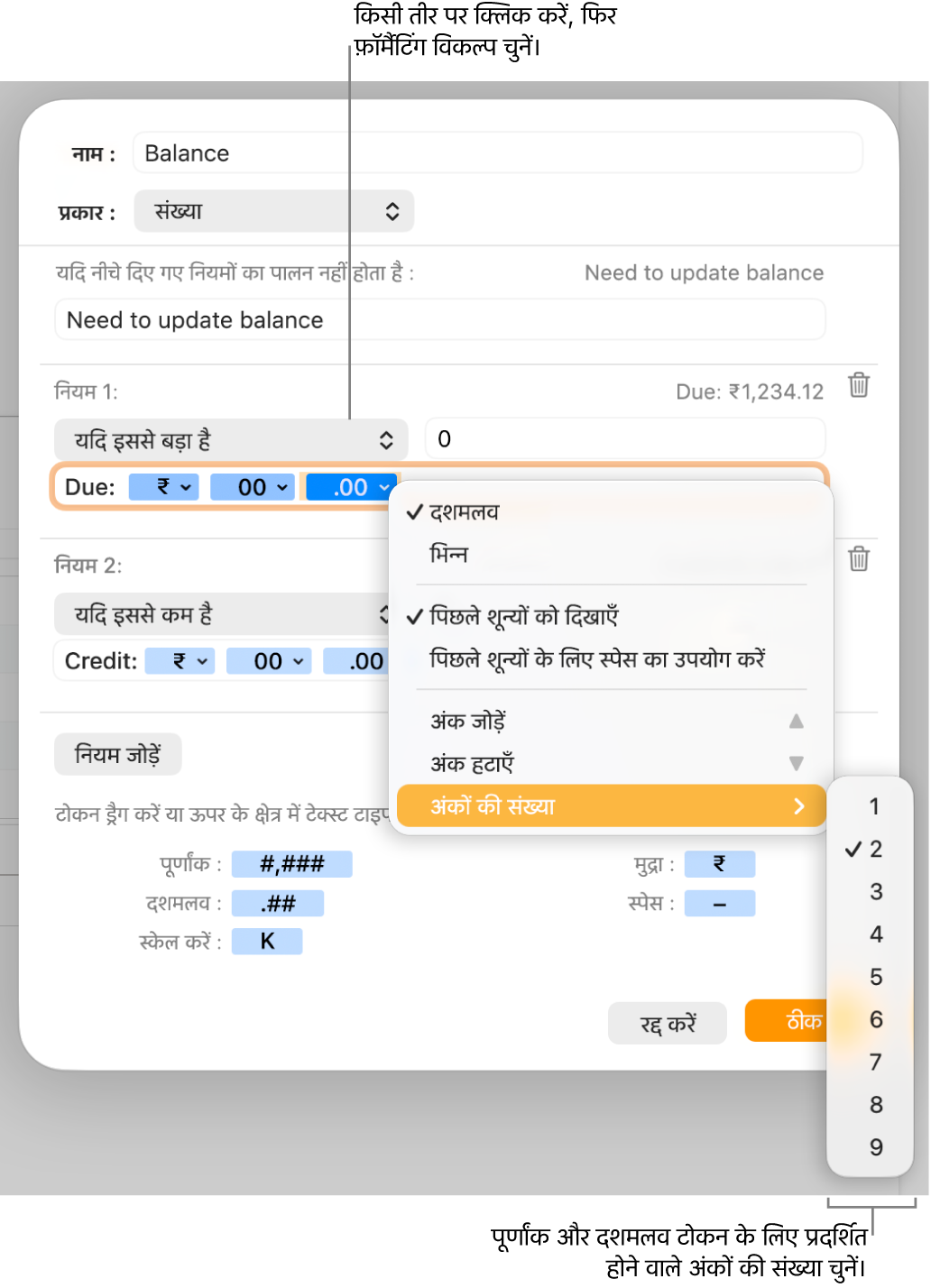 कस्टम वाली एक नई स्प्रेडशीट विकल्प चुननें के नियंत्रणों वाली कस्टम सेल फ़ॉर्मैट विंडो।