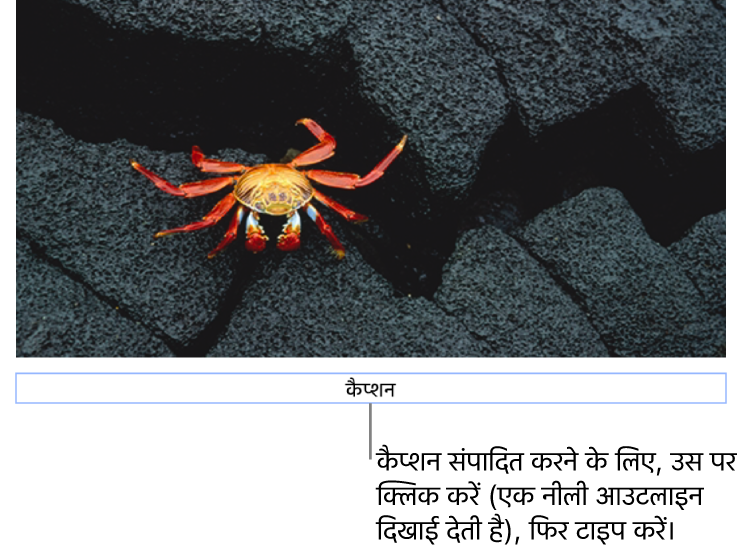 प्लेसहोल्डर कैप्शन, “कैप्शन” तस्वीर के नीचे दिखाई देता है; यह चयनित है दिखाने के लिए कैप्शन फ़ील्ड के चारों तरफ़ एक नीली आउटलाइन दिखाई देती है।