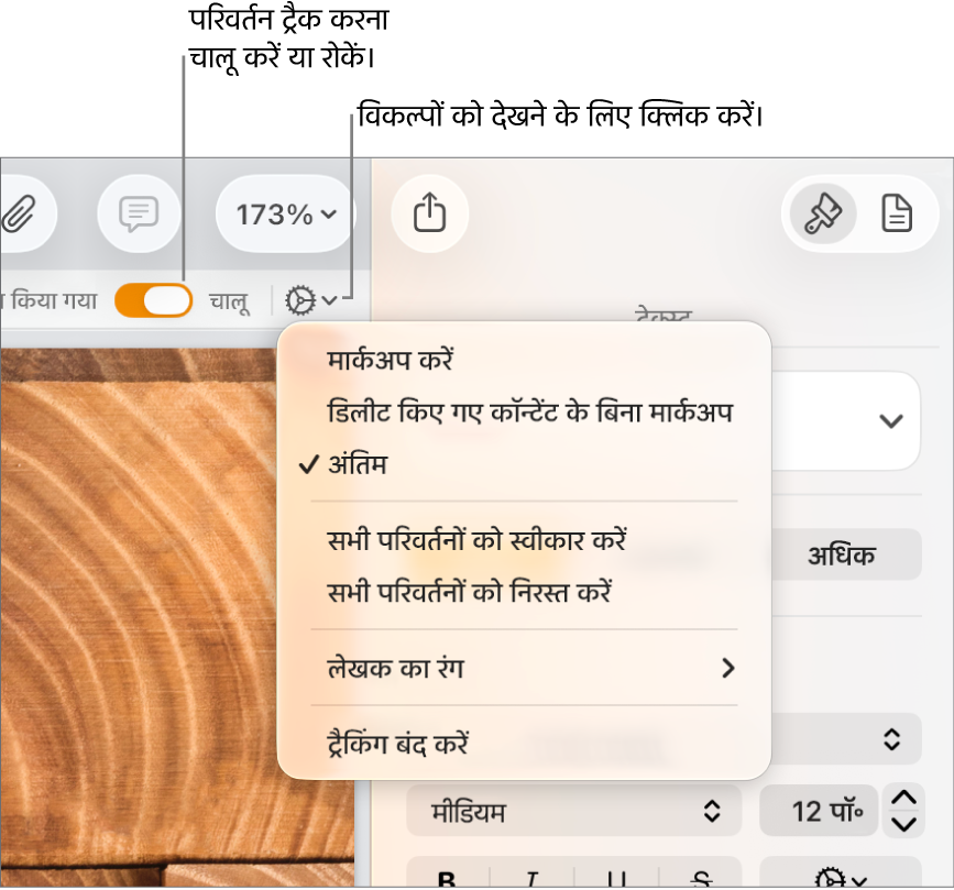 नीचे की ओर “ट्रैक करना बंद करें” दिखाता और “ट्रैक करना चालू करें” और “पॉज़ किया गया” बटन पर कॉलआउट को दिखाता “ट्रैक करना” विकल्प मेनू।