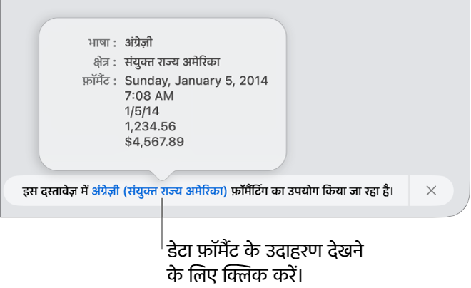 अलग भाषा और क्षेत्र सेटिंग संबंधी सूचना, जो उस भाषा और क्षेत्र के फ़ॉर्मैटिंग से जुड़े उदाहरण दर्शाती है।