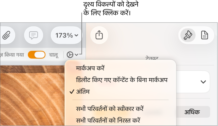 समीक्षा विकल्प मेनू द्वारा मार्कअप, बिना हटाए मार्कअप और अंतिम दिखाया जा रहा है।