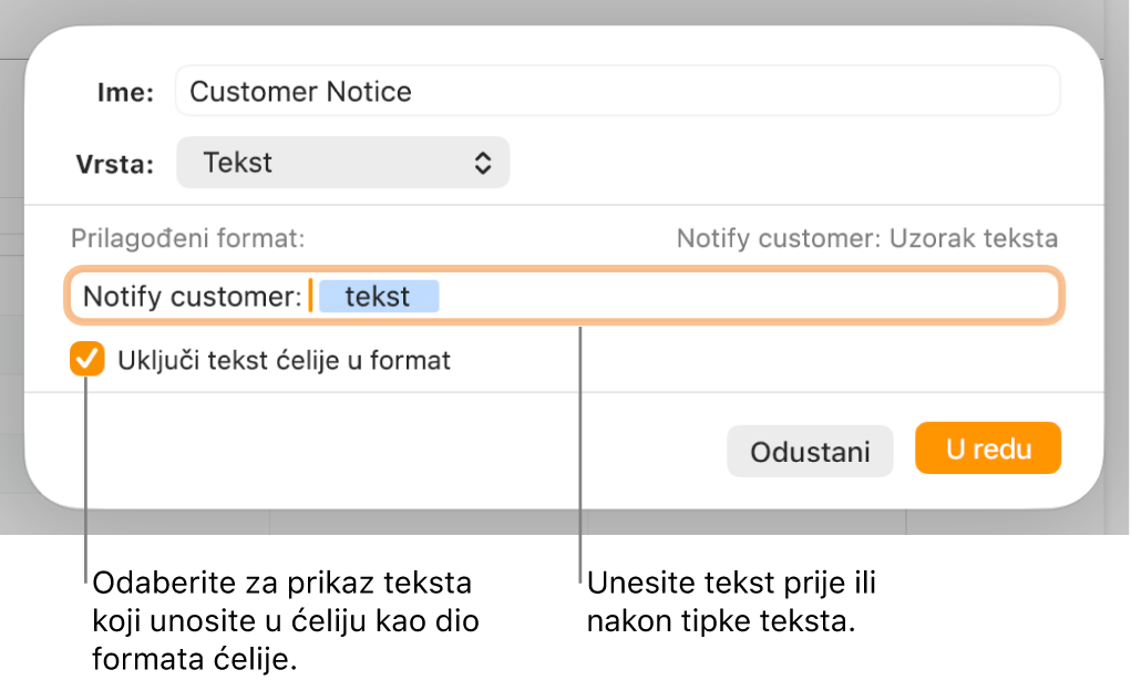 Prozor prilagođenog formata ćelije s kontrolama za odabir prilagođenog formatiranja teksta.