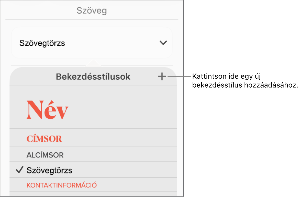 A Bekezdésstílusok menü az Új stílus gombot jelölő felirattal.