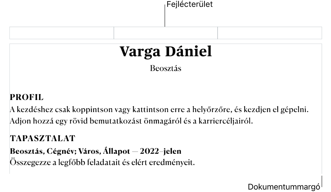 Az elrendezés nézet a fejlécterülettel és a dokumentummargókkal.