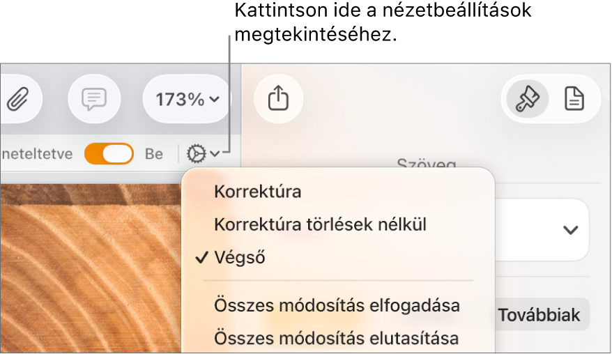 A korrektúrabeállításokat tartalmazó menü, amelyben a Korrektúra, a Jelölés törlések nélkül és a Végső menüopciók láthatók.