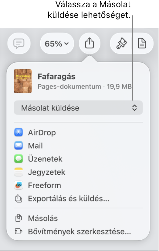A Megosztás menü a felül elhelyezkedő Másolat küldése lehetőséggel.