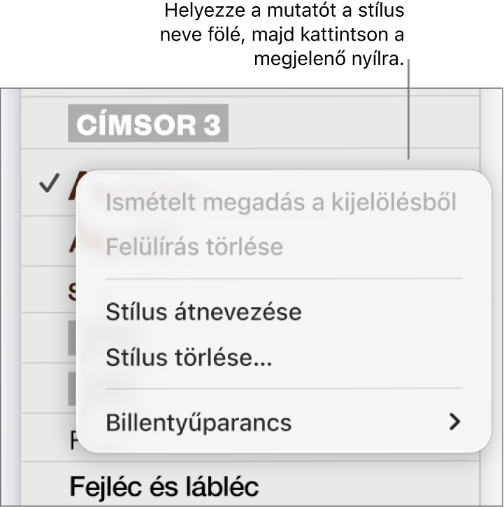 A Bekezdésstílusok menü a megnyitott helyi menüvel.